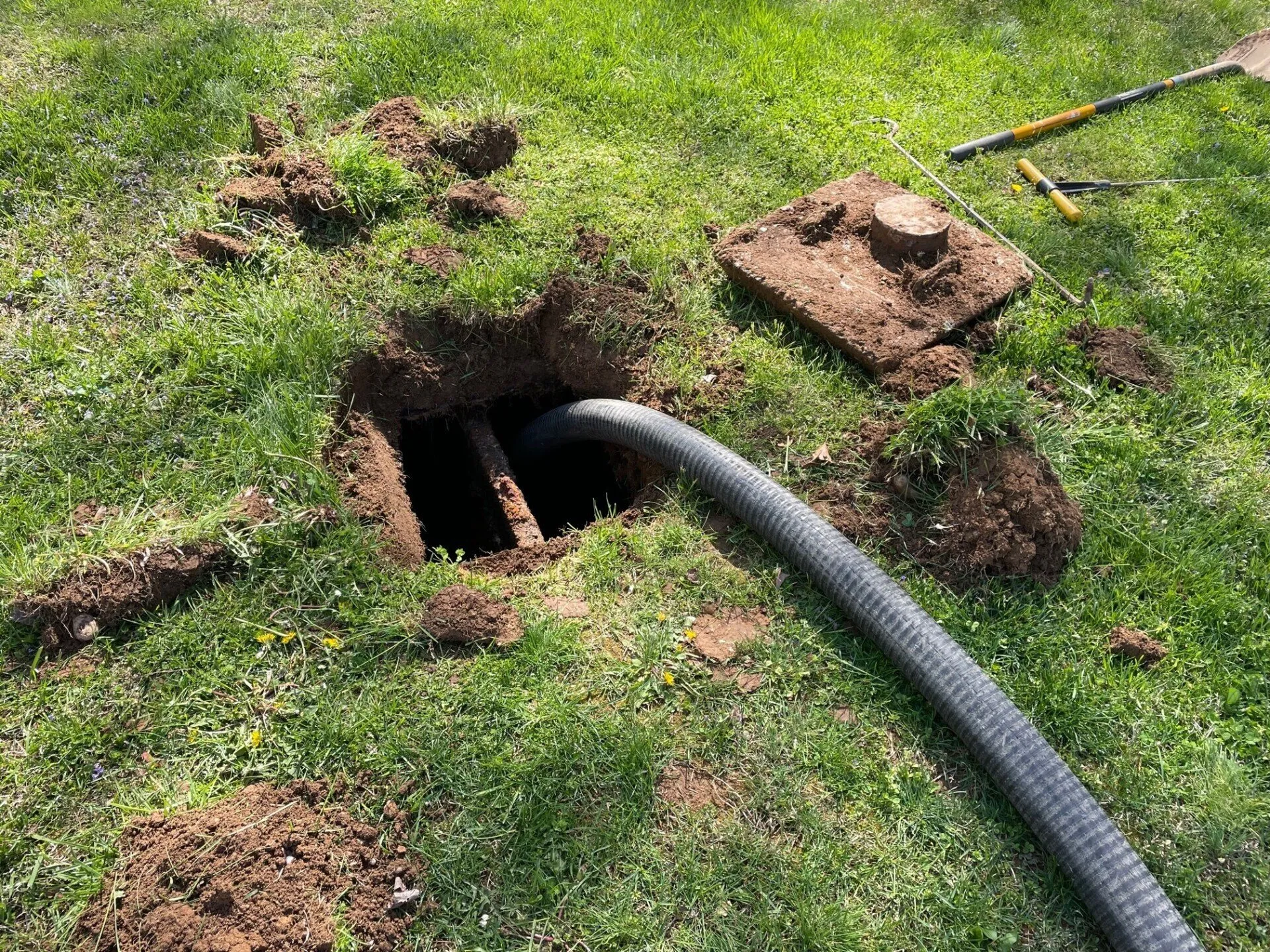 Septic System Maintenance