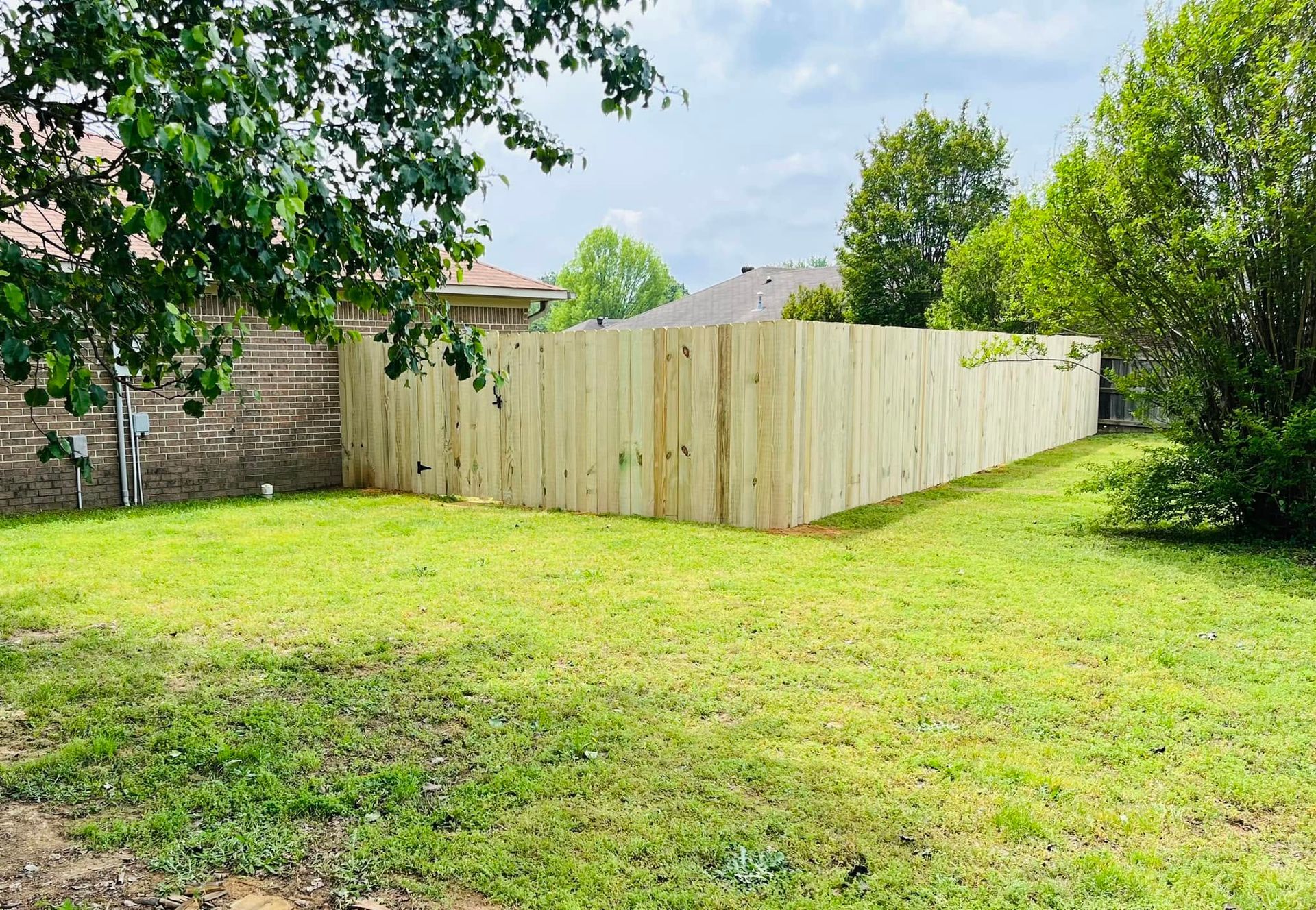 Backyard with green grass, wooden privacy fence, and trees under a bright sky