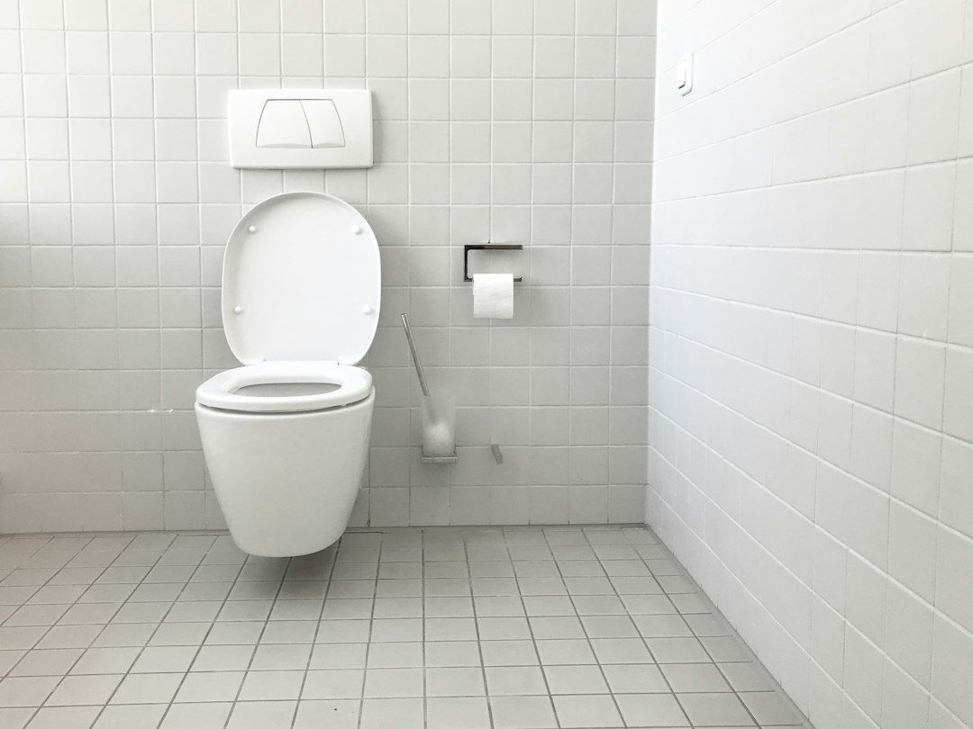 leaking toilet