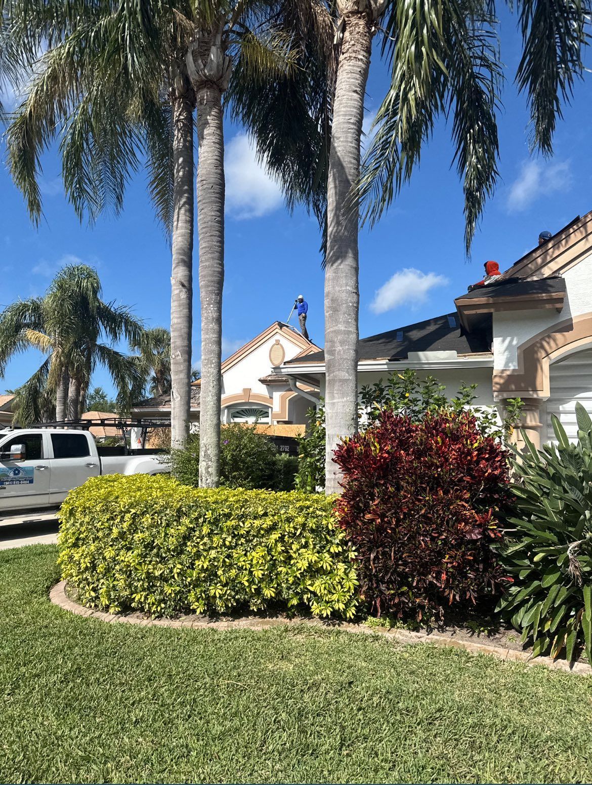 Lush landscaping with palm trees, trimmed bushes, and a house under a blue sky.