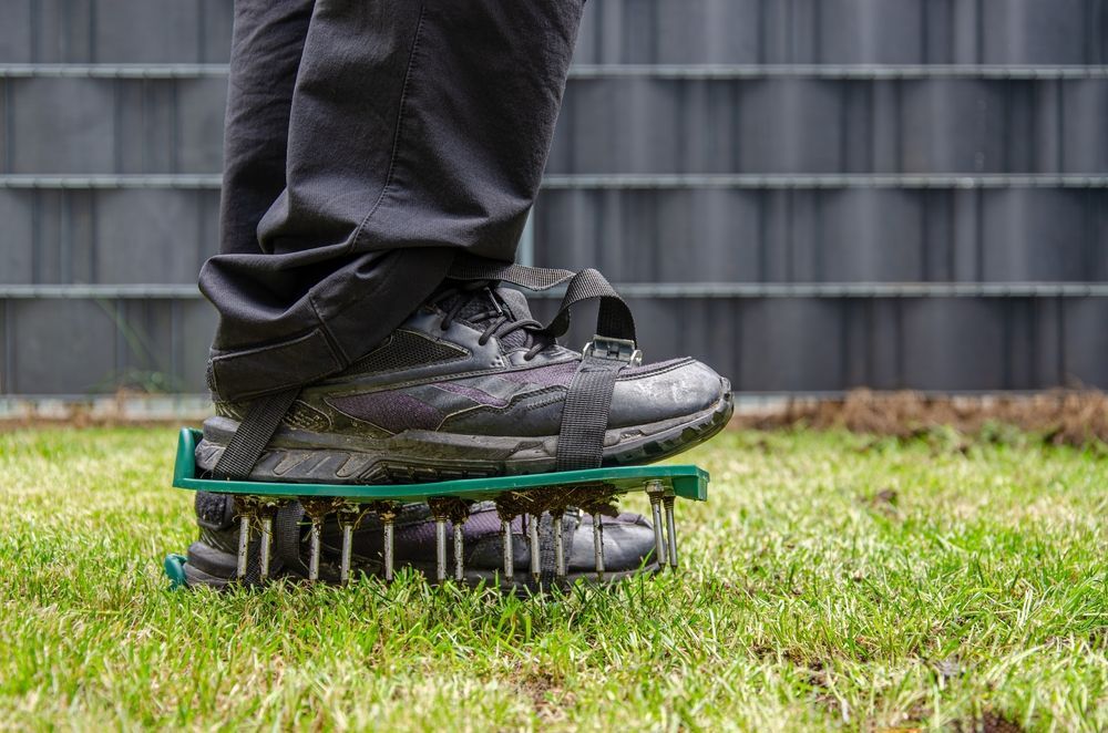 A person is standing on a lawn with a pair of shoes on top of it.