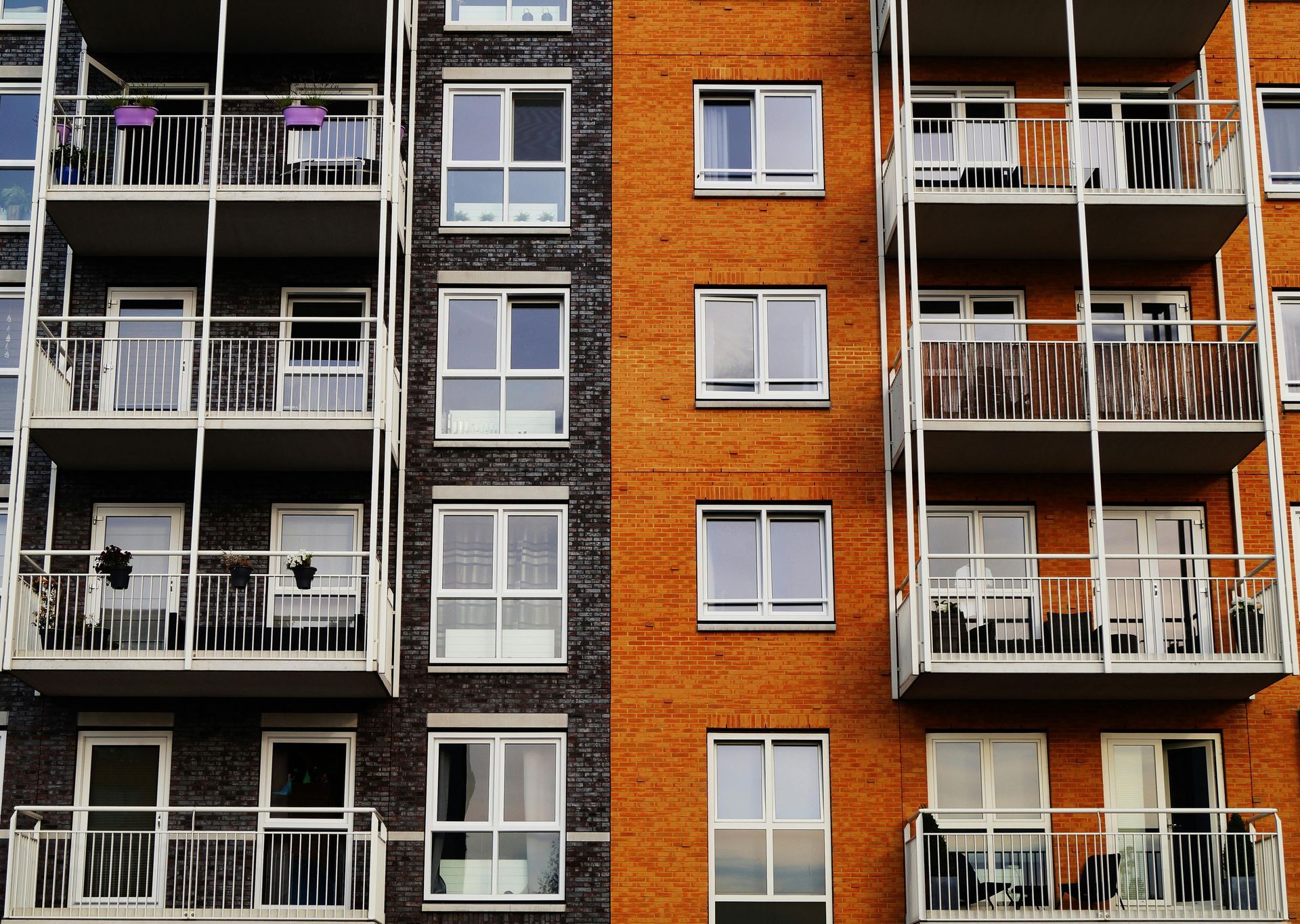 Renters Insurance in Bellevue
