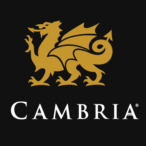 Gold dragon logo above 