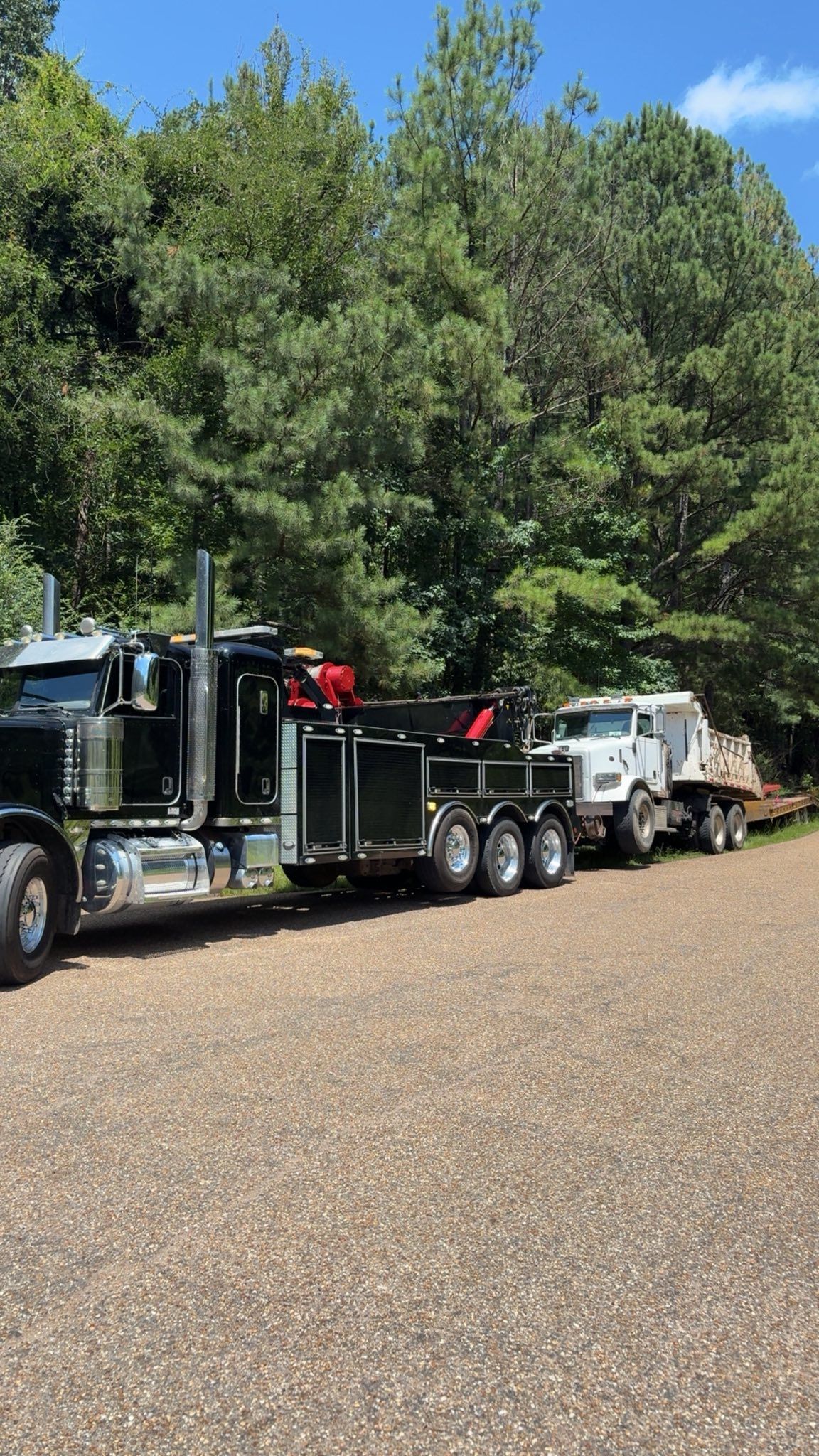 Black semi truck hauling a white pickup on a trailer in a gravel lot under a large green tree