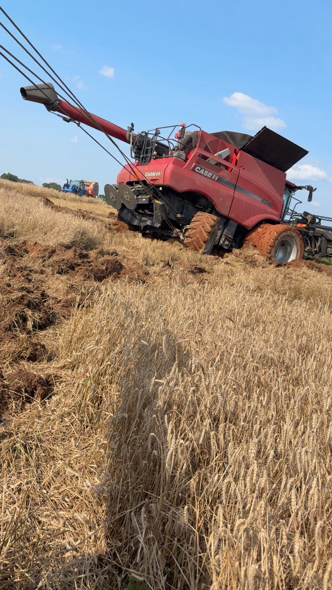Red combine harvester unloading grain in a wheat field under a blue sky