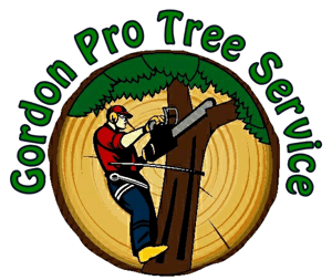 Gordon Pro Tree Service Gordon Pro Tree Service