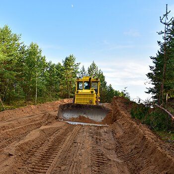 A yellow bulldozer clearing a dirt path through a pine forest on a sunny day.