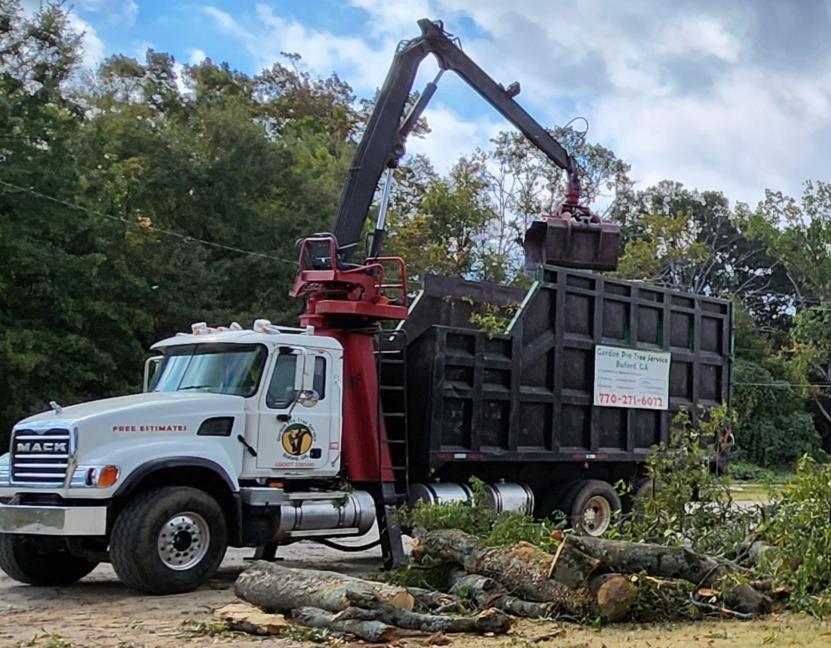 Tree Removal Services Images Nine | Gainesville, GA | Gordon Pro Tree Service