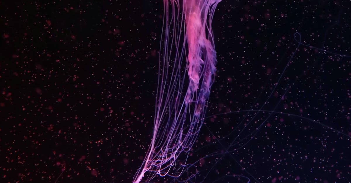 Pink ink swirling downward in a dark space filled with small, scattered specks.