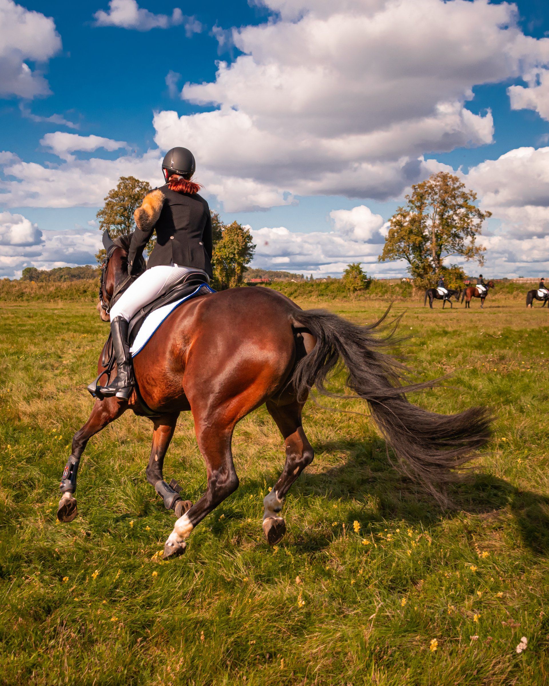 Equestrian riding a brown horse in grassy field under a cloudy blue sky. Other riders visible in the distance.