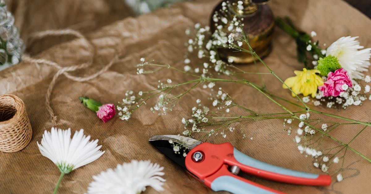 Flowers, clippers, and twine on a brown paper surface, likely for floral arrangement.