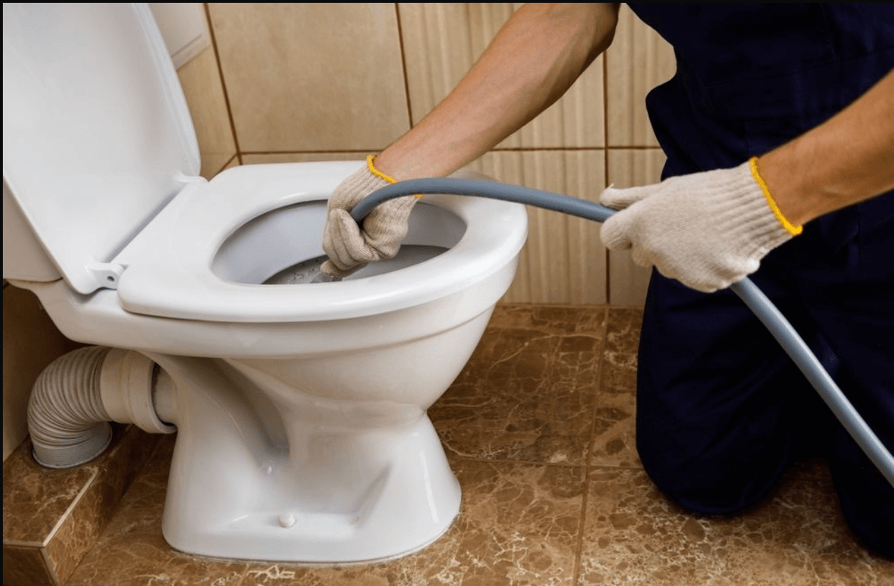 Blocked toilet