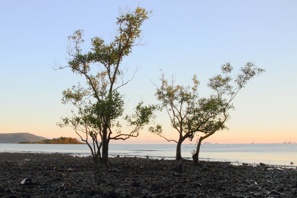 Cannonvale Beach Reserve in Airlie Beach Whitsundays — Total Sealing Works Whitsundays in Bundaberg, QLD