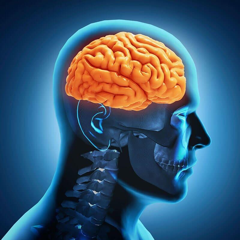 NEUROCIENCIAS DR. GERARDO QUIÑONES - Neuropsicología