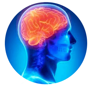 NEUROCIENCIAS DR. GERARDO QUIÑONES - Electroencefalograma