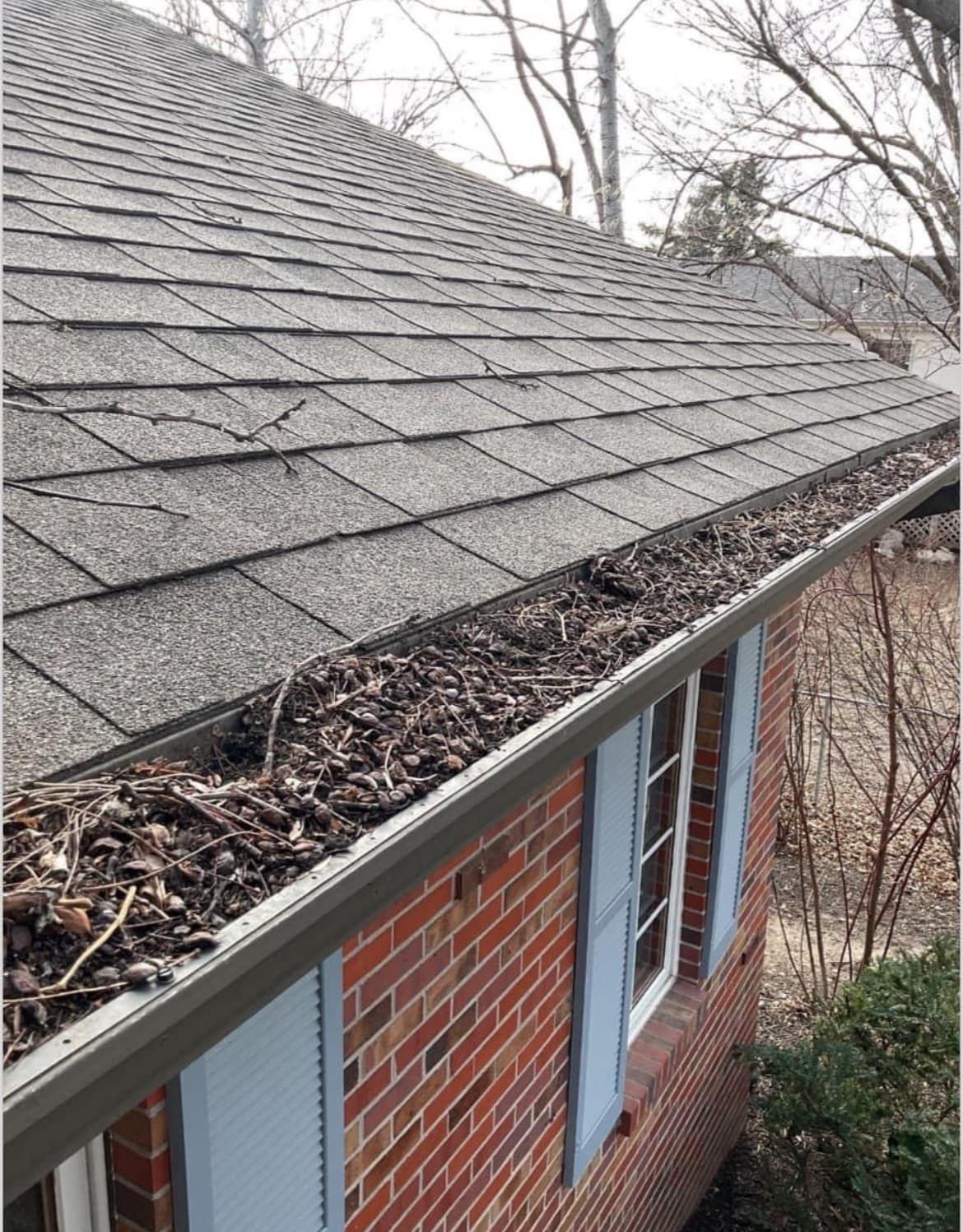 A gutter on the side of a brick house with leaves on it