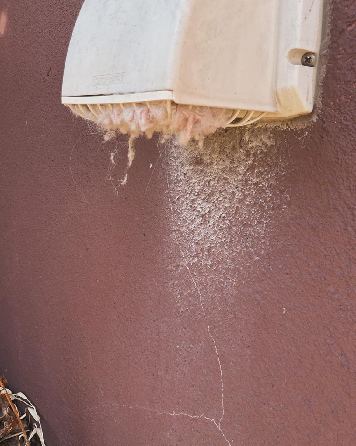 A dirty shower head is hanging on a pink wall