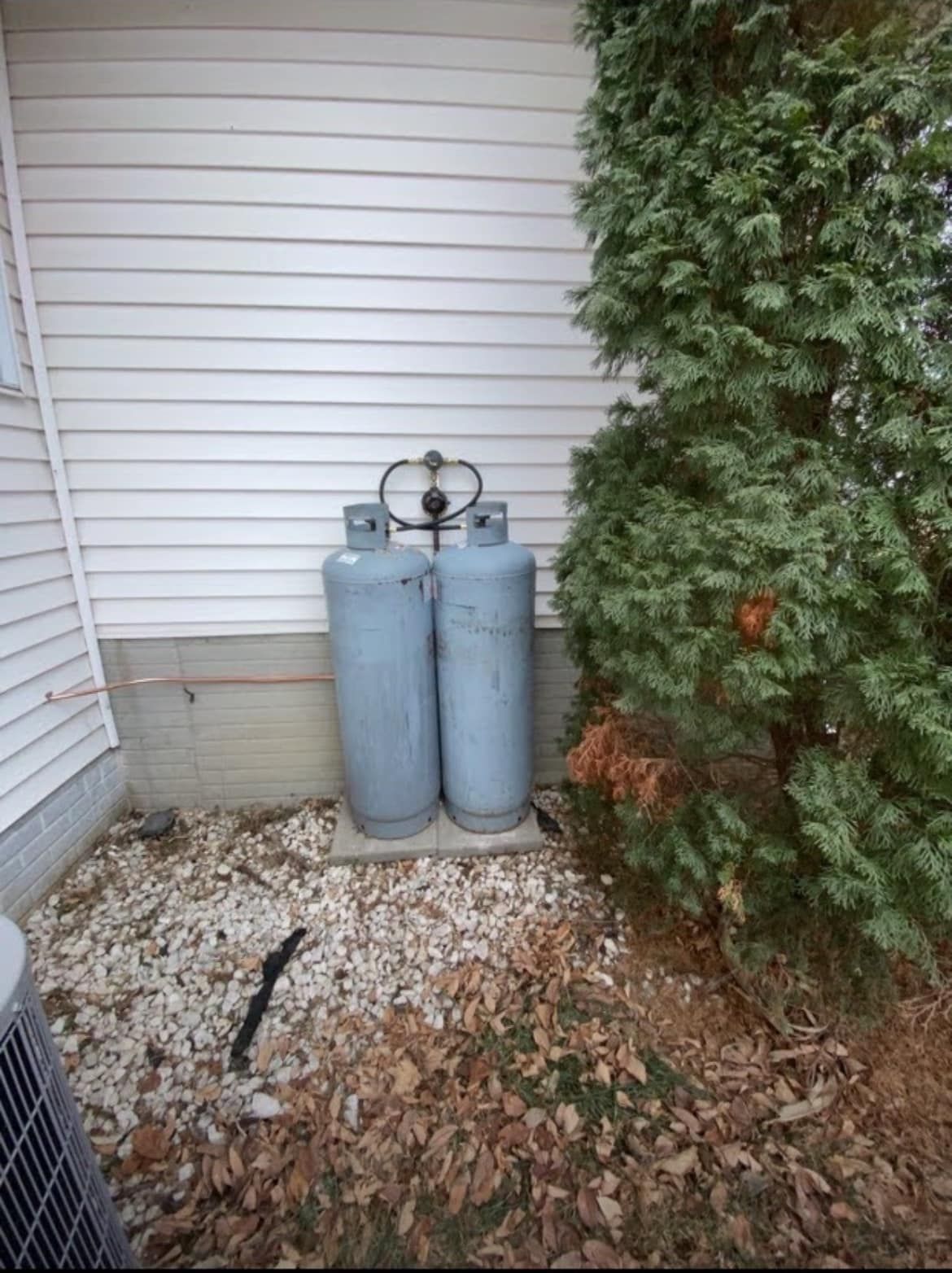 Two gas cylinders are sitting outside of a house next to a tree.