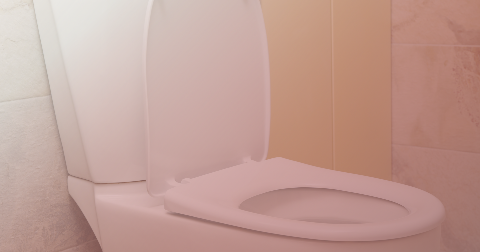 Toilet Repair in Wichita, KS with Boyer Plumbing