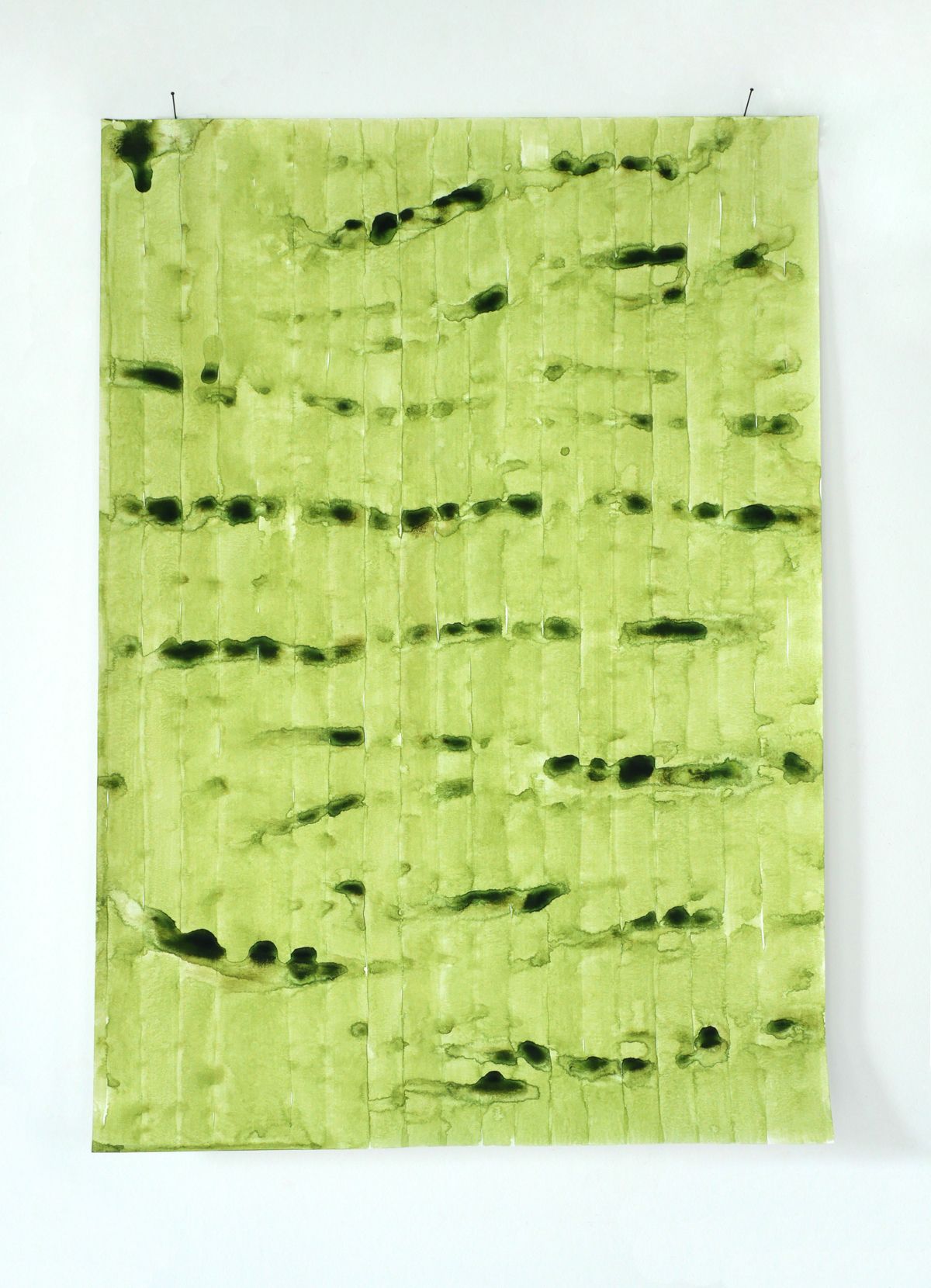Een rechthoekig vel lichtgroen, gestructureerd papier met rijen donkergroene inktvlekken, vastgeprikt aan een witte muur.
