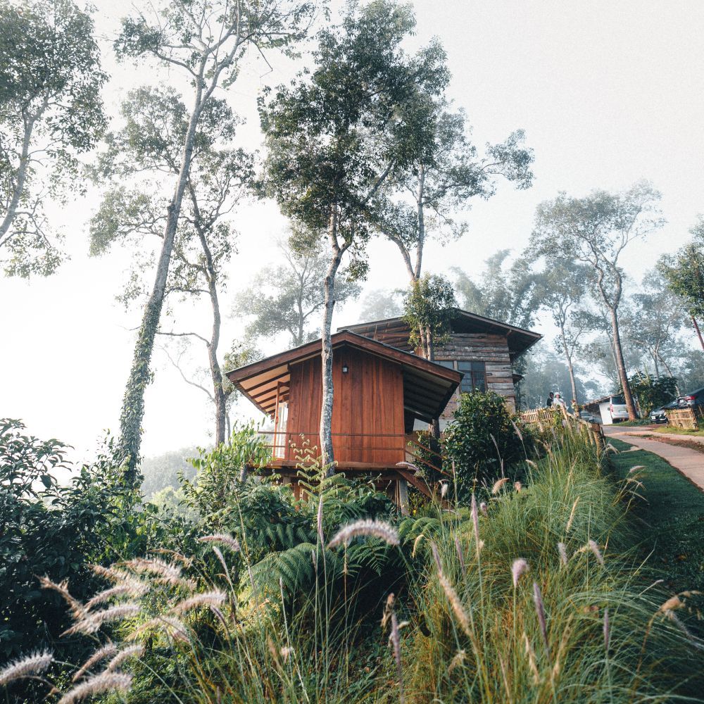 A small wooden house is sitting on top of a hill in the middle of a forest.