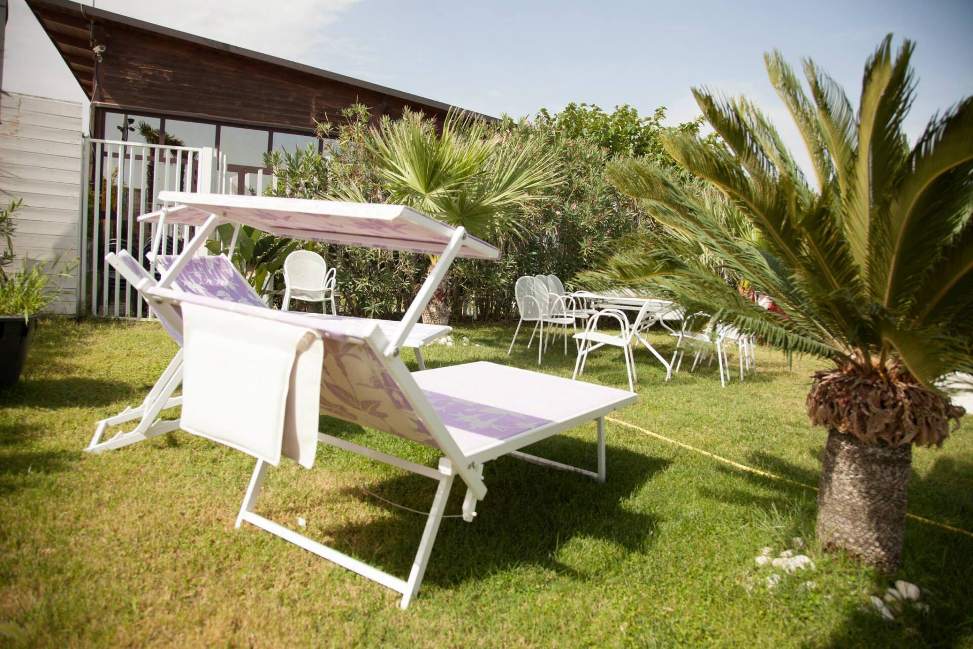 lettini vip