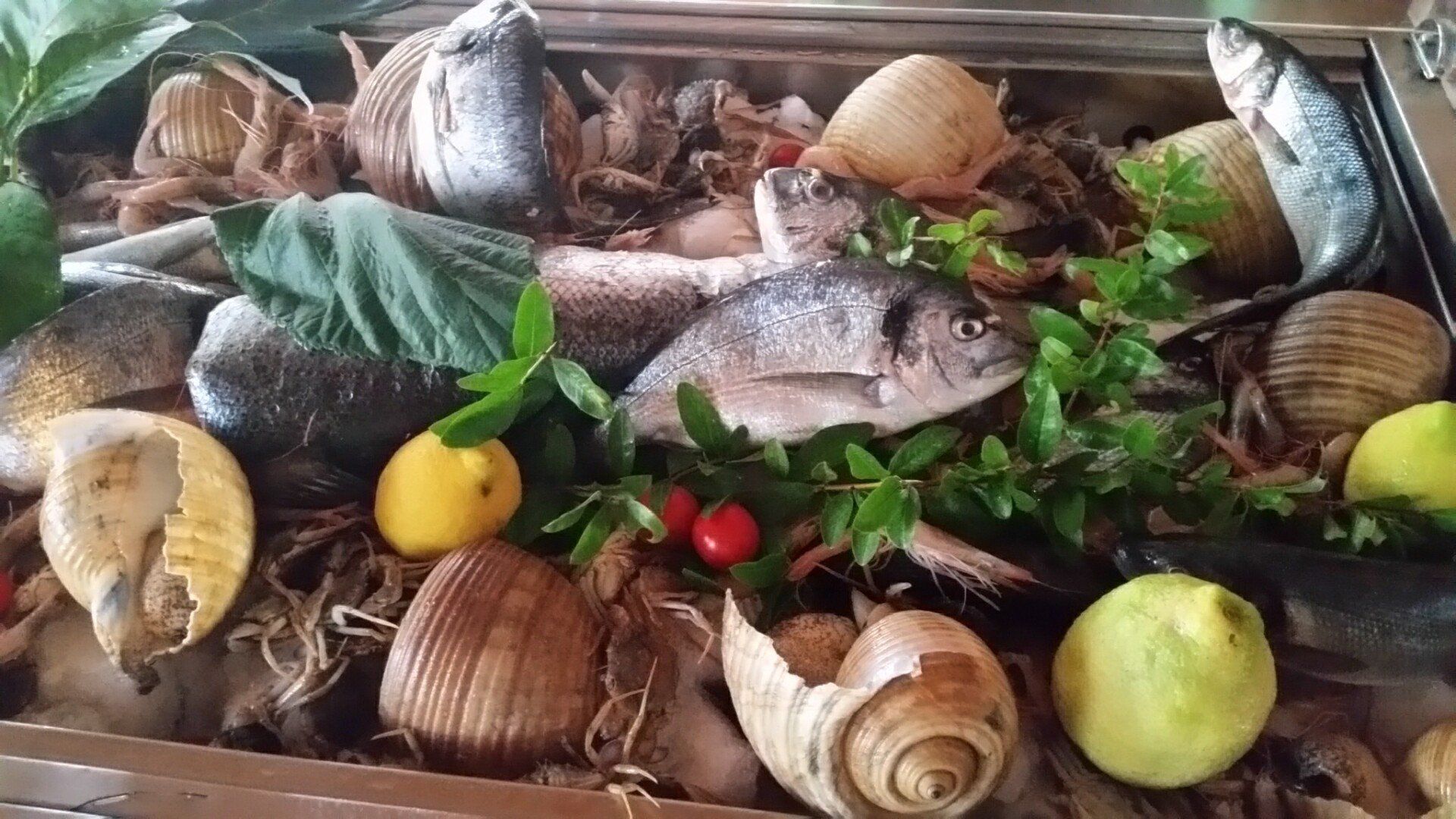 pesce freschissimo