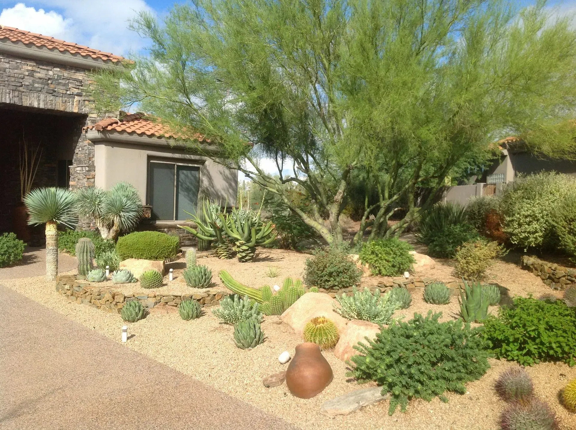 Desert front yard with cacti, shrubs, pottery, and a house with a tiled roof