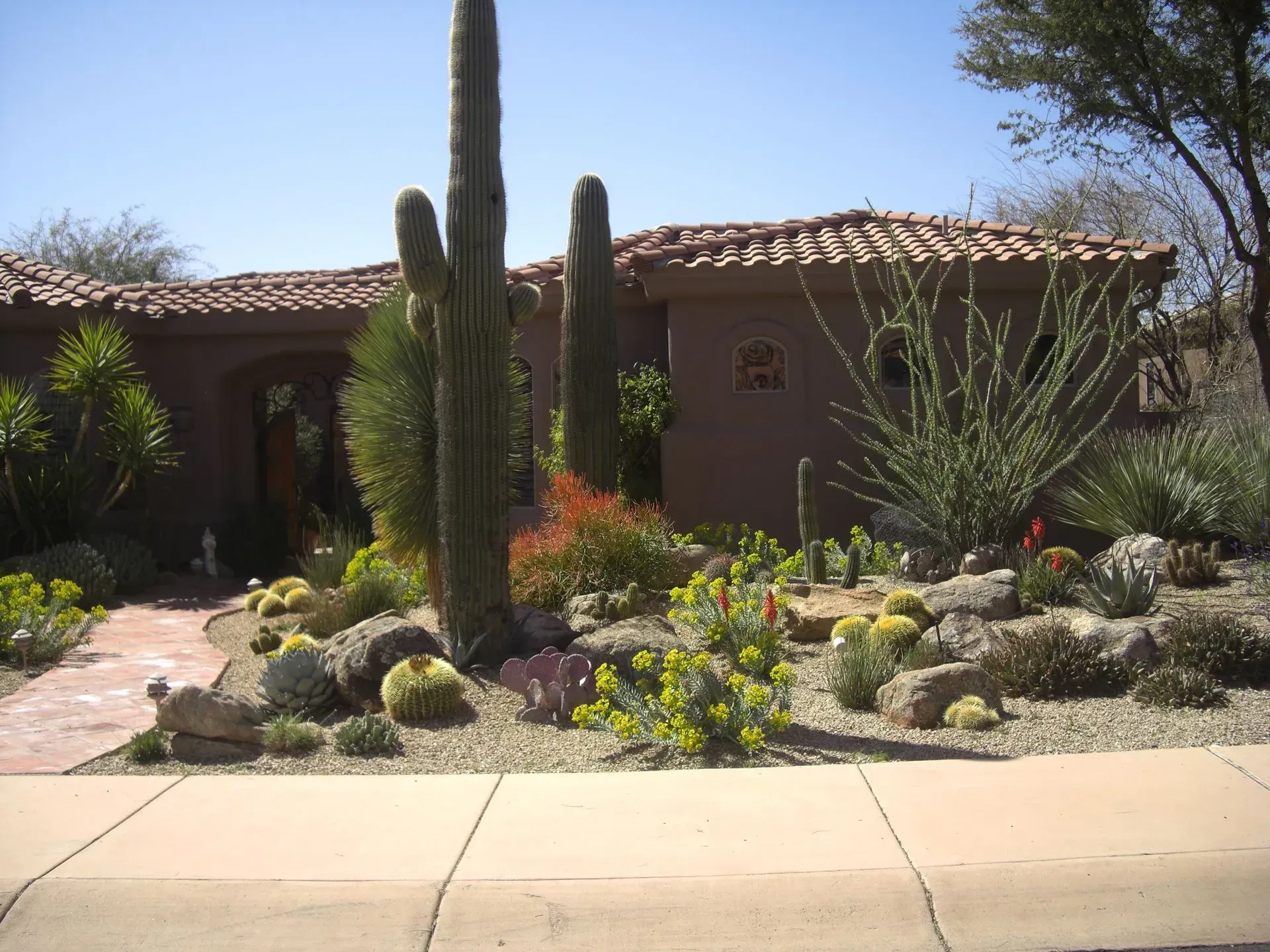 Desert-style house with a red tile roof, cactus garden, and stone walkway under a bright sky