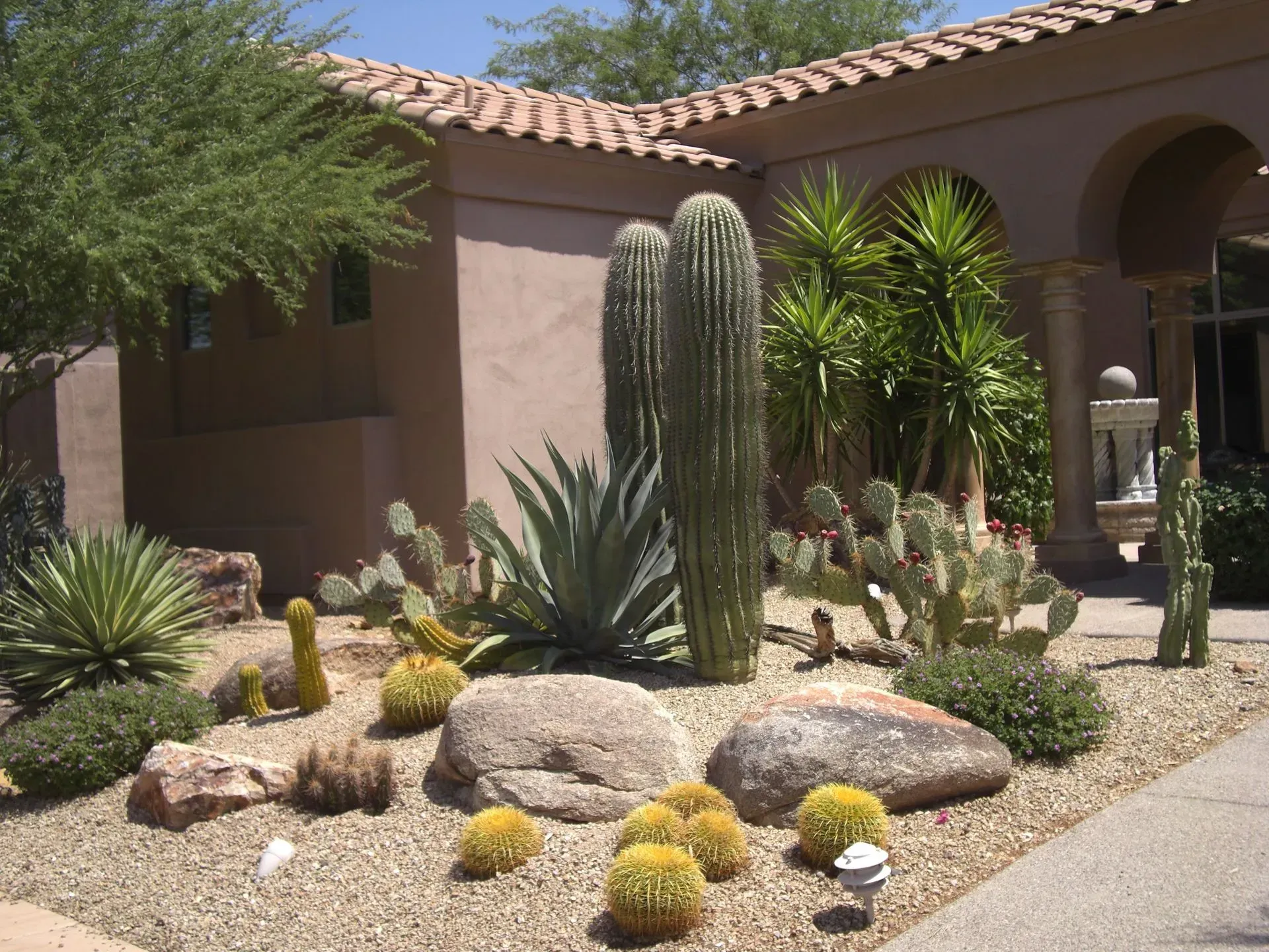 Desert landscaping with cacti, rocks, and succulents beside a stucco house with a tiled roof