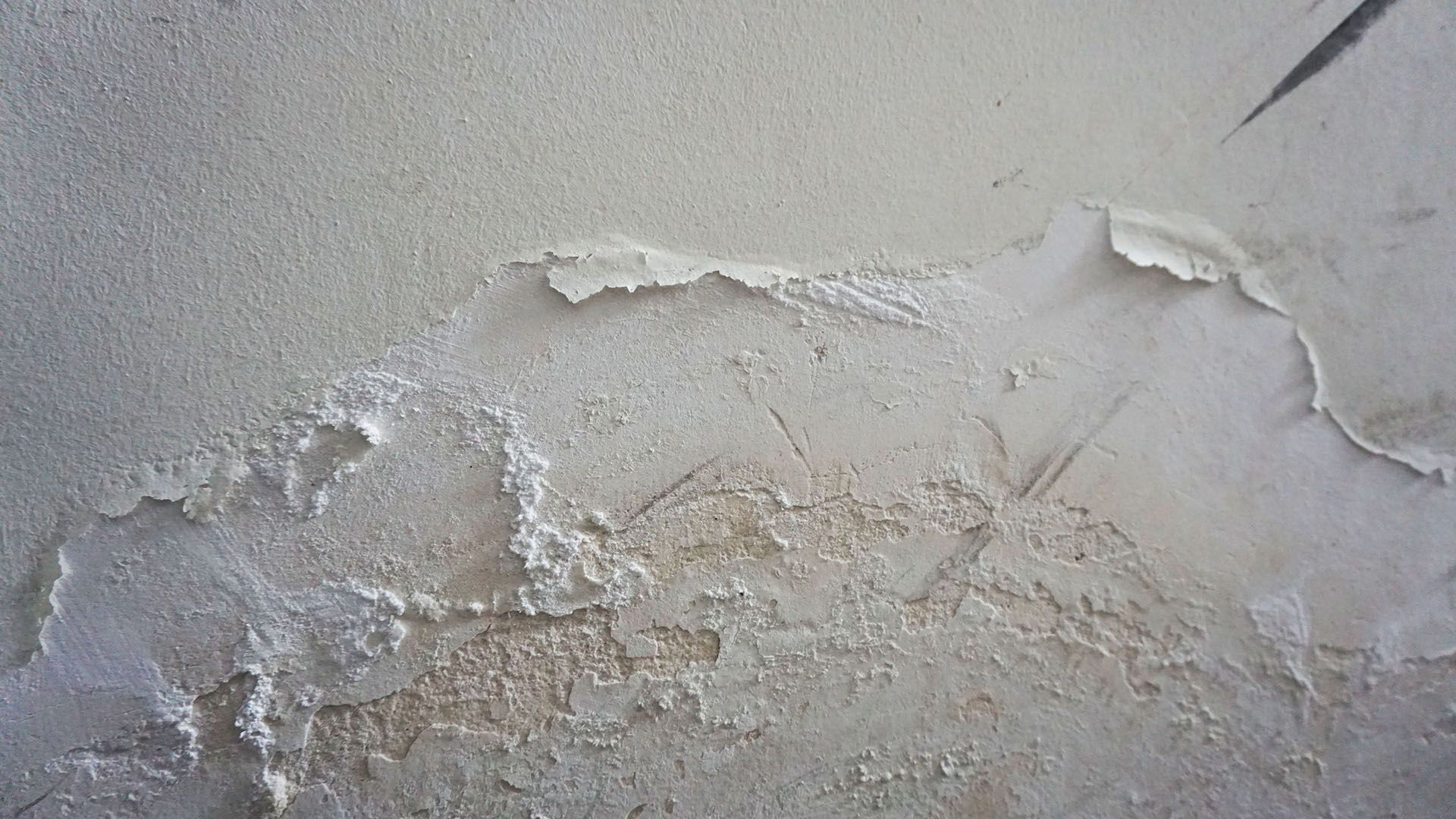 rising damp
