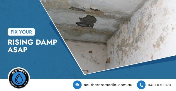 waterproofing Illawarra
