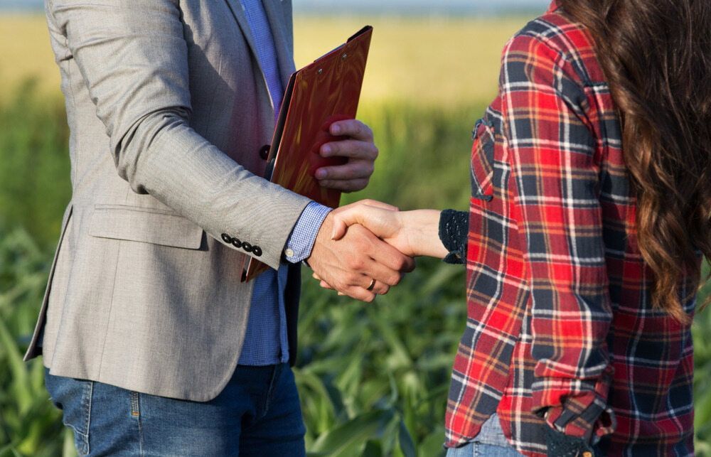 A Man and a Woman are Shaking Hands in a Field — Nelson Keane & Hemingway Lawyers in Wellington, NSW