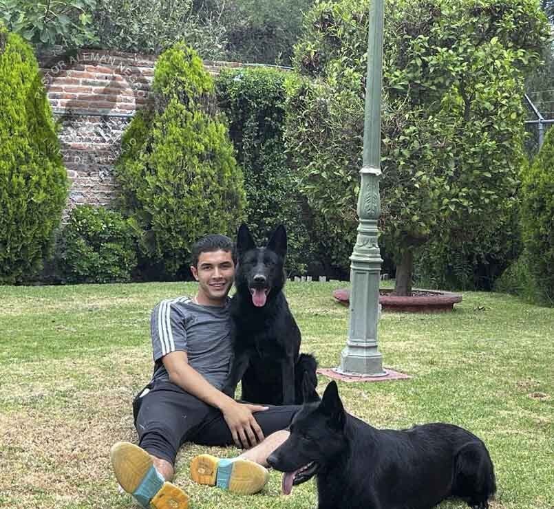 criadero de pastor aleman