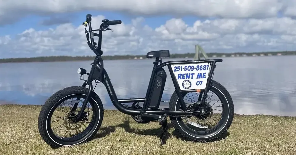 Black electric bicycle parked on grass with a body of water in the background. The bike has a rental sign.