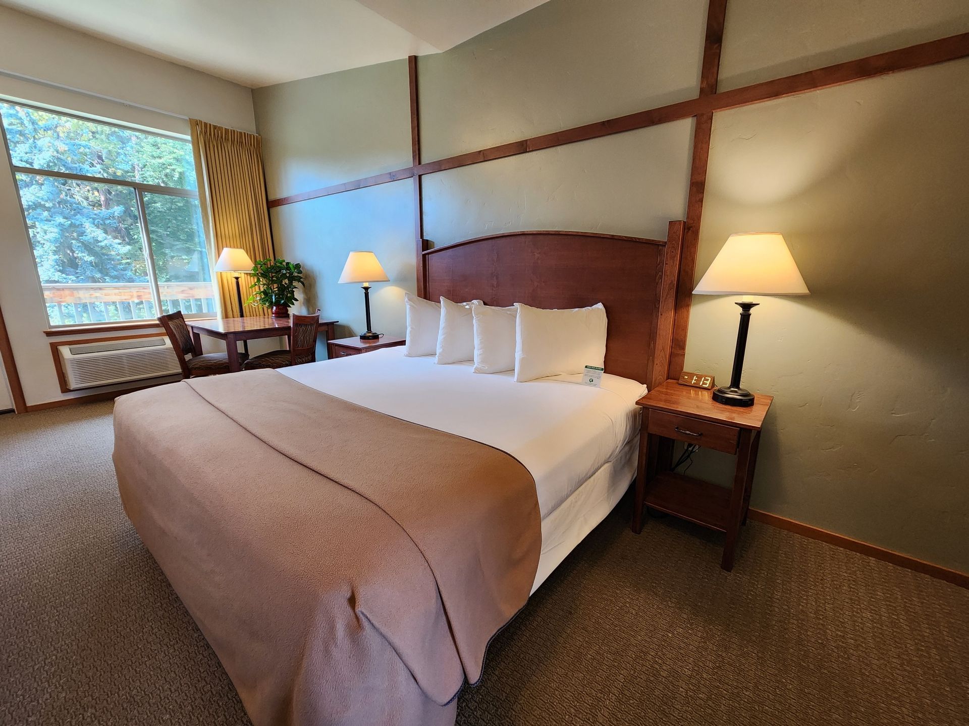 Hotel room with a bed, nightstands, lamps, and a window overlooking greenery.