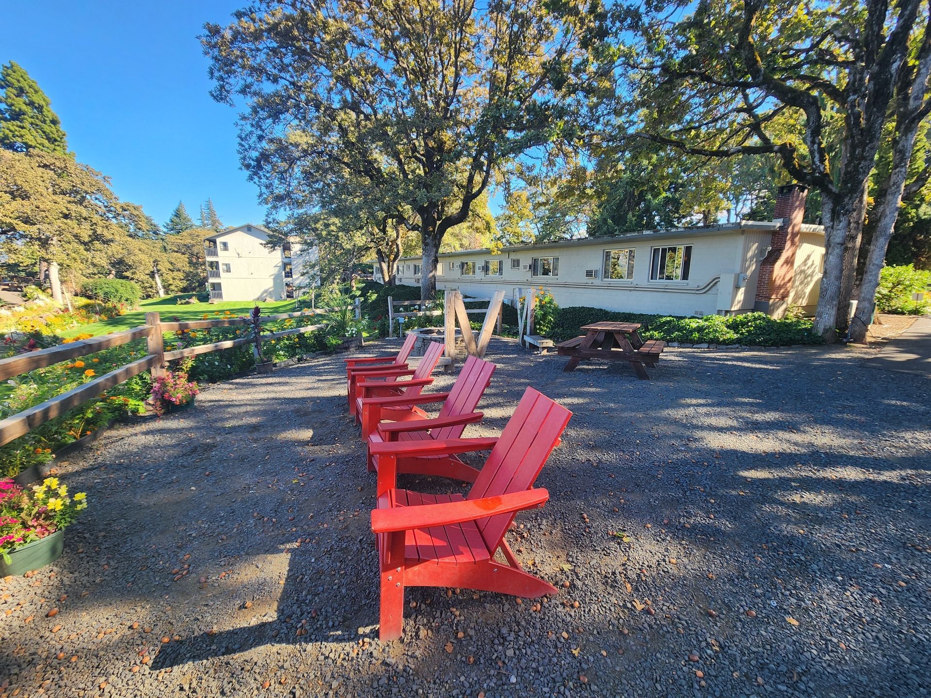 Row of red Adirondack chairs on gravel patio, trees, and low building in background.