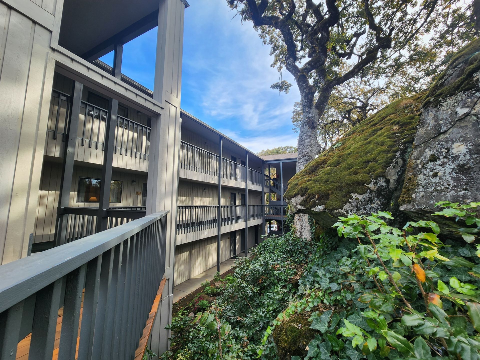 Building with balconies next to a mossy rock and tree, under a blue sky.