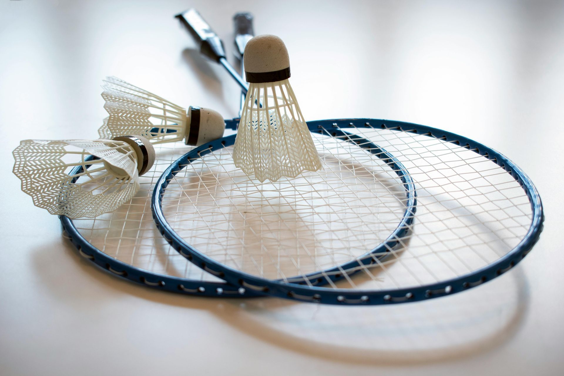 Ladies Badminton