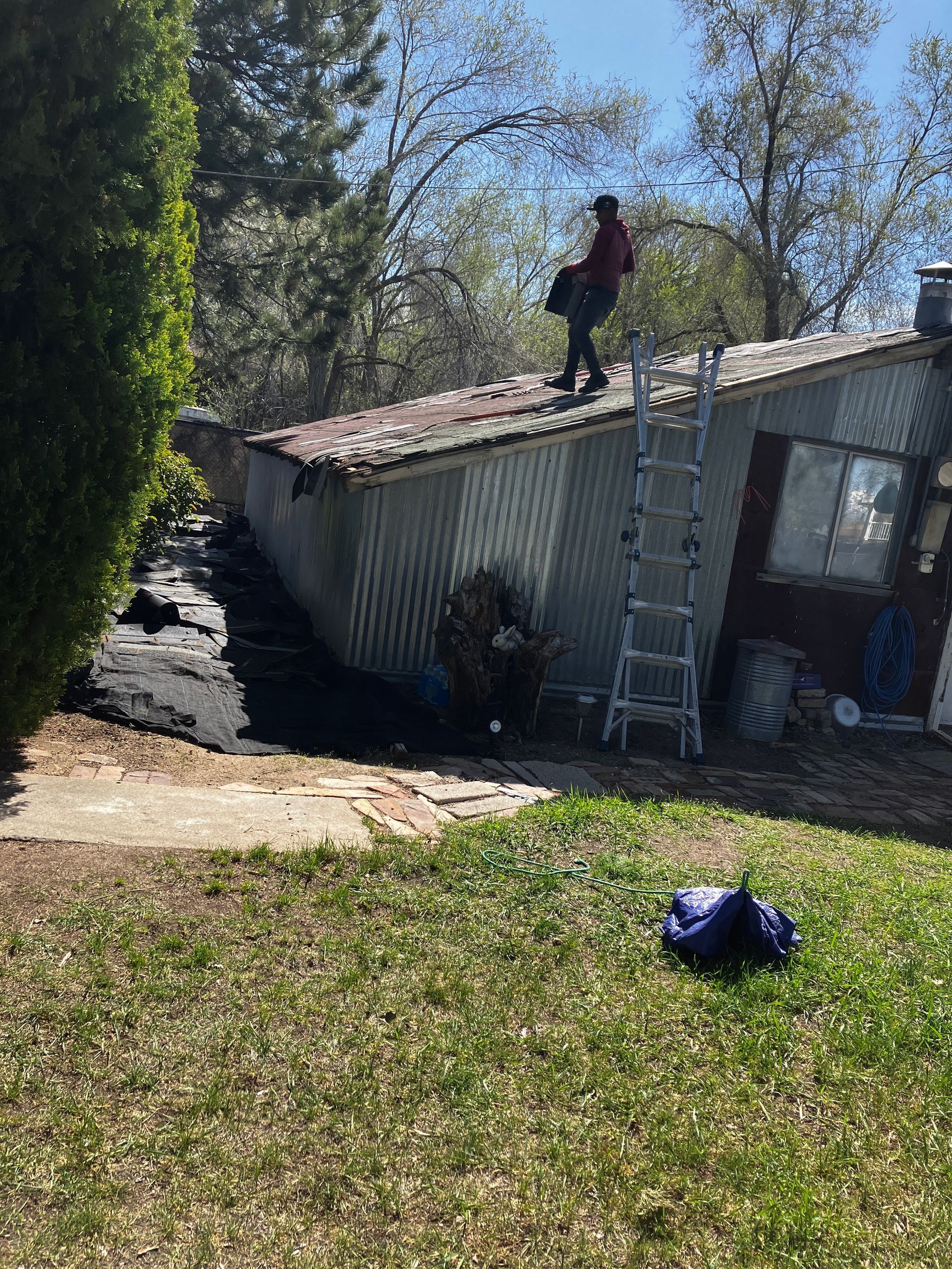 Person standing on a roof next to a ladder in a grassy yard on a sunny day