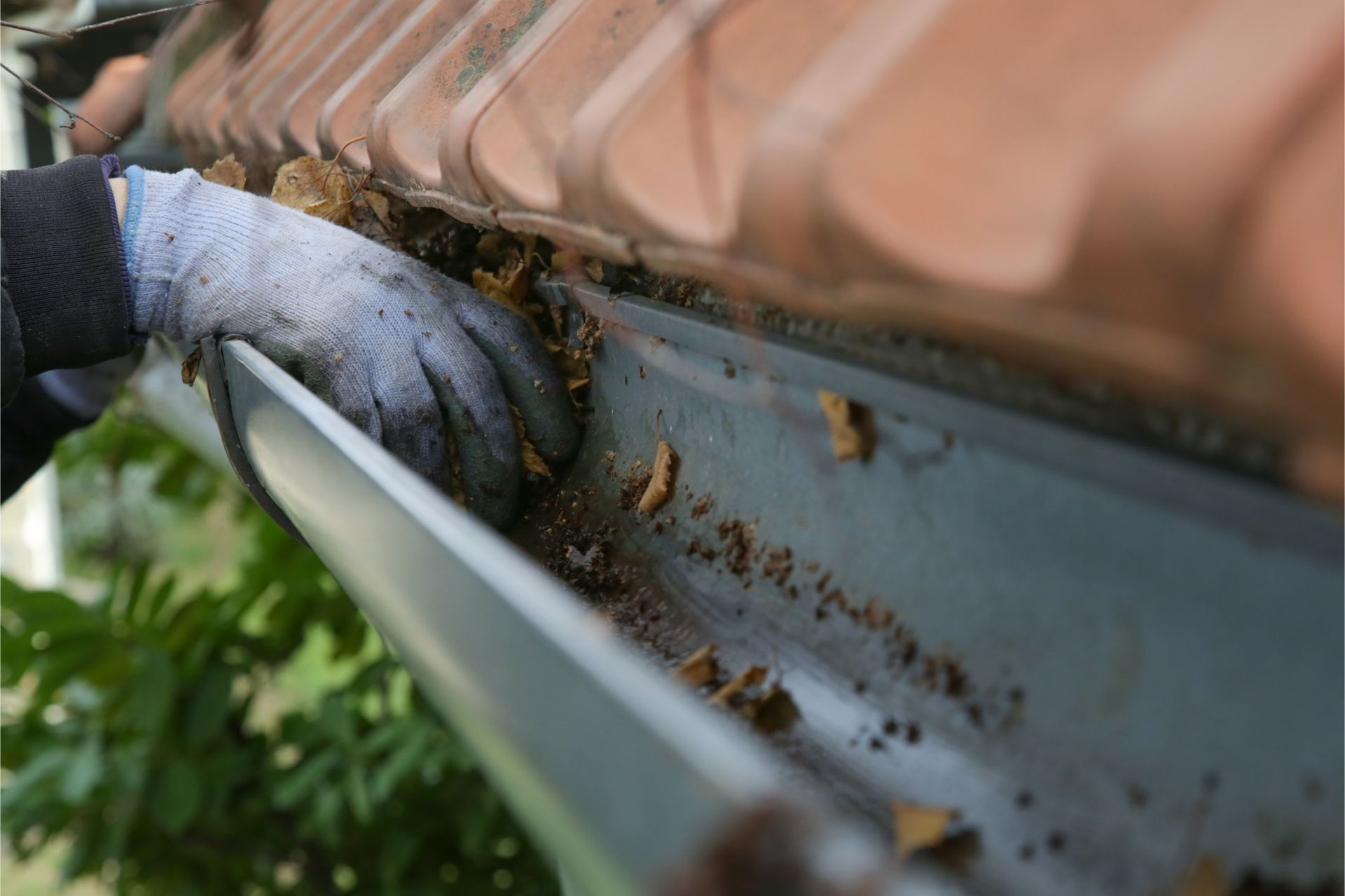 Gloved hand cleaning a gutter filled with debris, with a roof and green foliage visible.