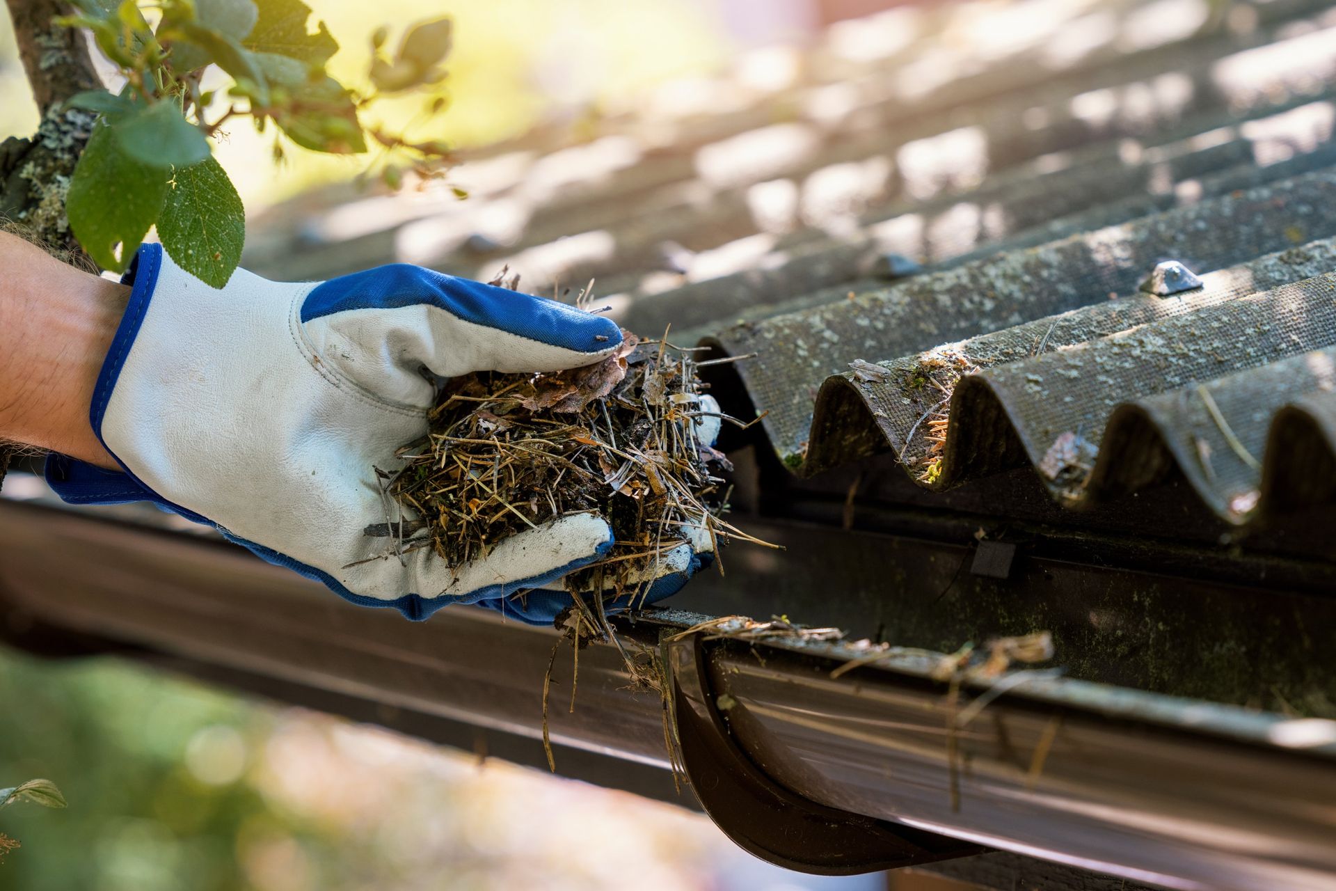 Gloved hand cleaning debris from a rooftop gutter. Leaves and twigs visible; sunny outdoor setting.