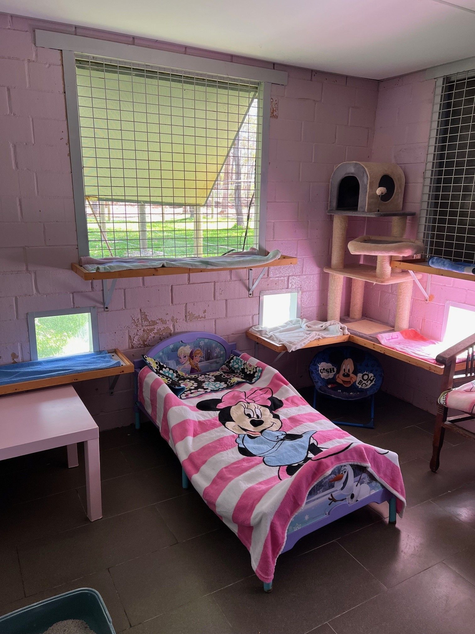 Pink Room — Carabooda, WA — Happy Cats Cattery