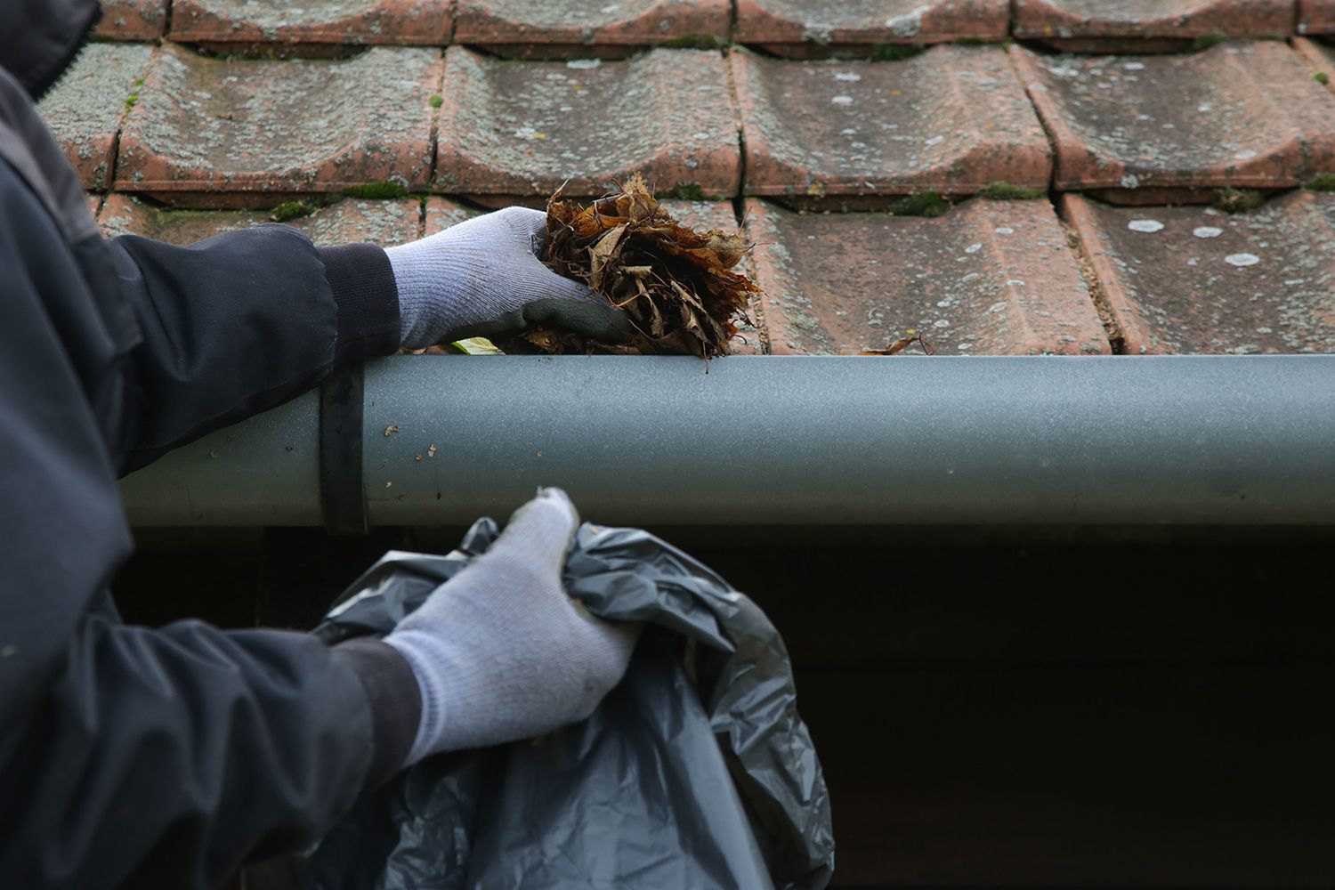 Gutter cleaning on a tiled roof, with gloved hands removing debris into a trash bag. Gutter cleaning on a tiled roof, with gloved hands removing debris into a trash bag.