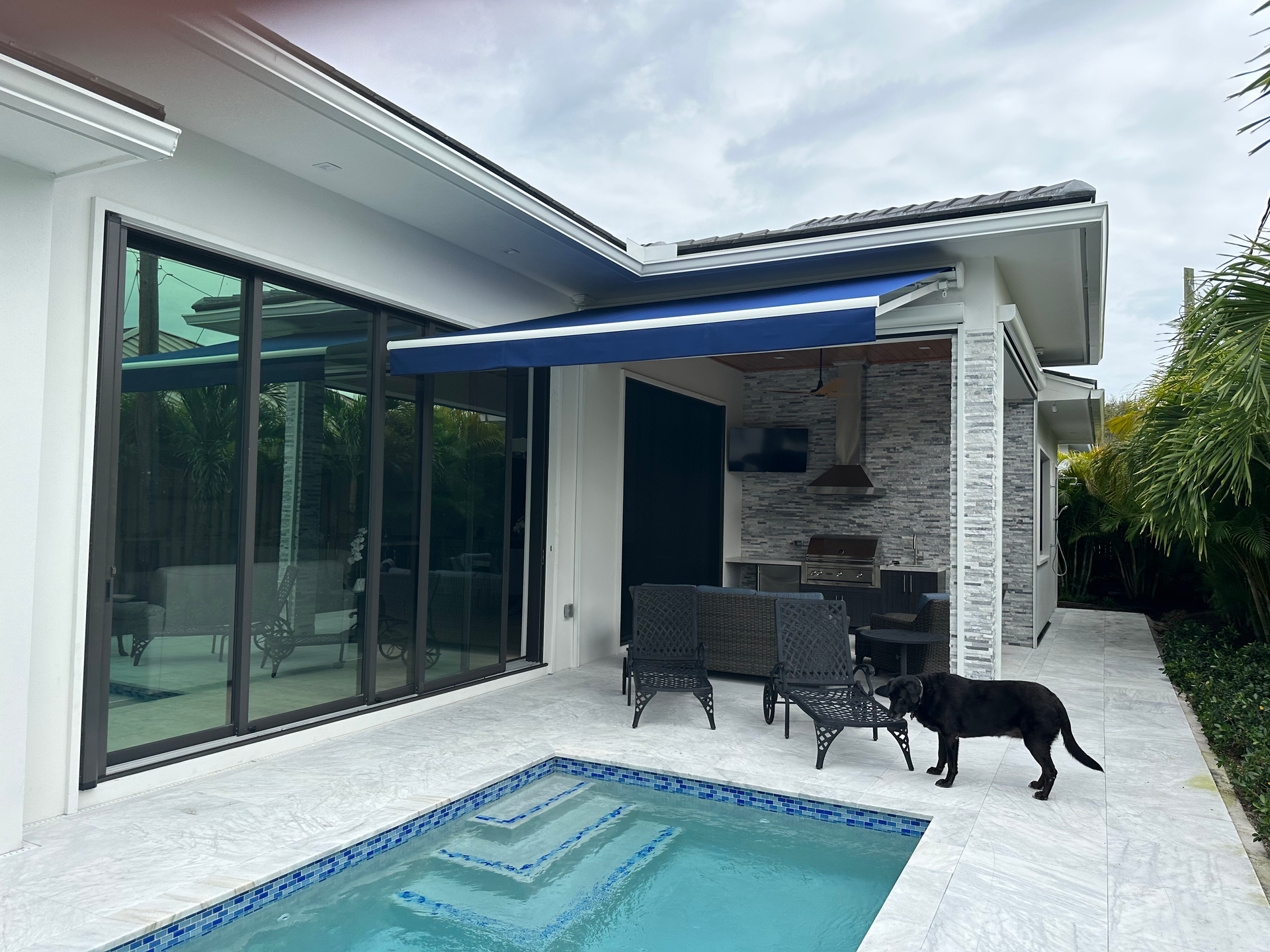 Backyard with pool, awning, outdoor kitchen, and black dog.