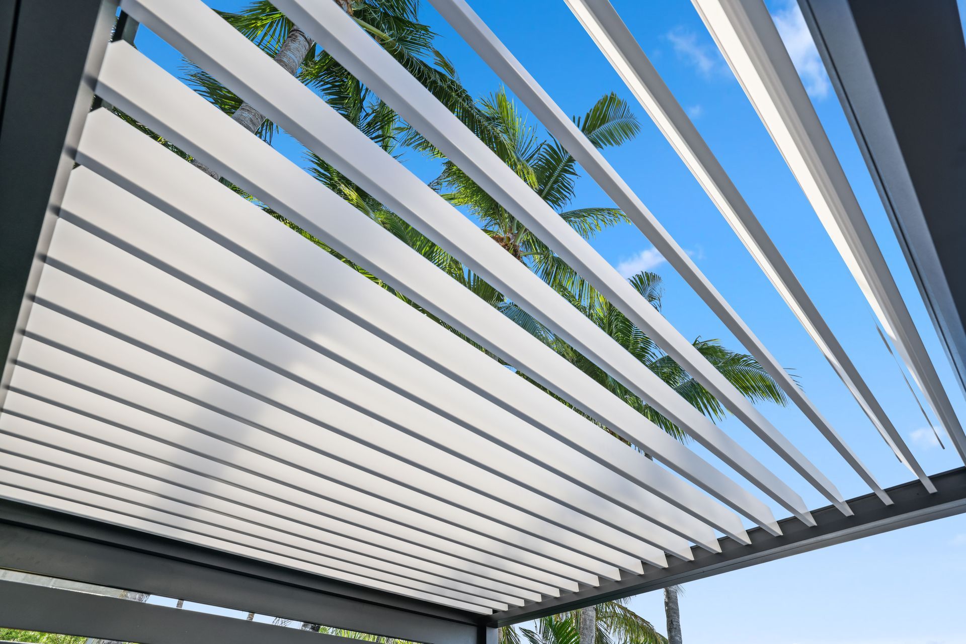 Pergola roof with adjustable slats, blue sky, and palm tree in the background.