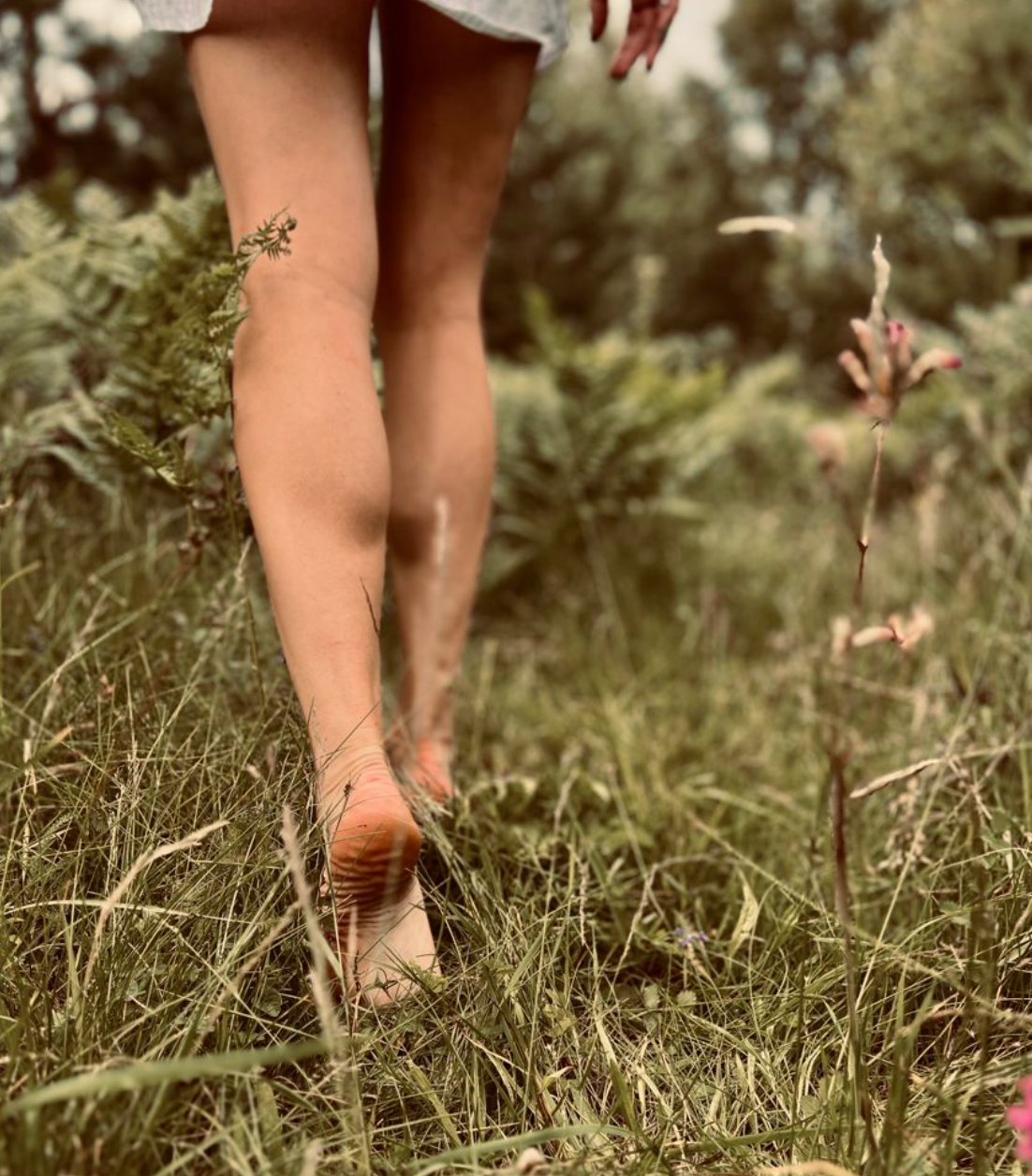 Heel Fissures Explained: Causes, Care & Long-Term Prevention