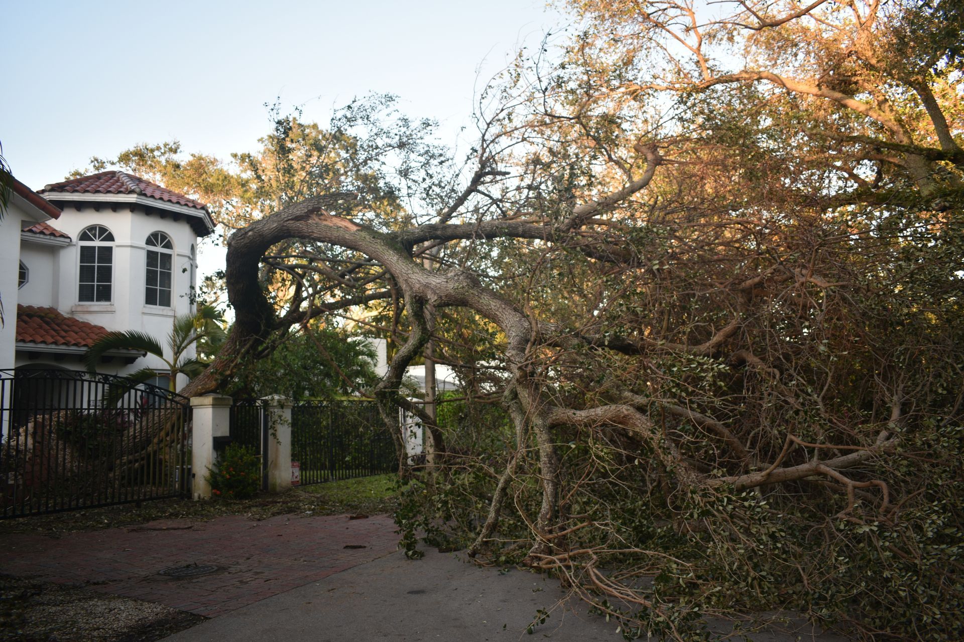 Hazardous tree leaning near a home in Orlando, Florida