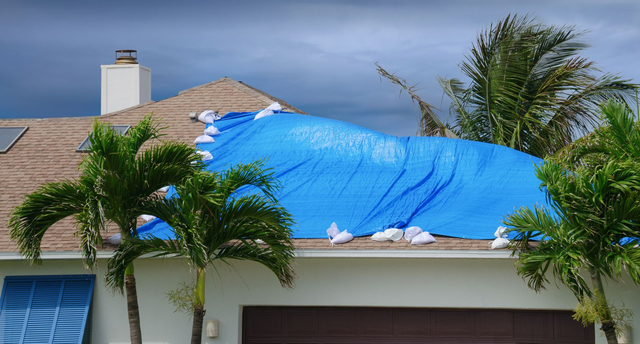 Temporary roof tarp on a home near trees