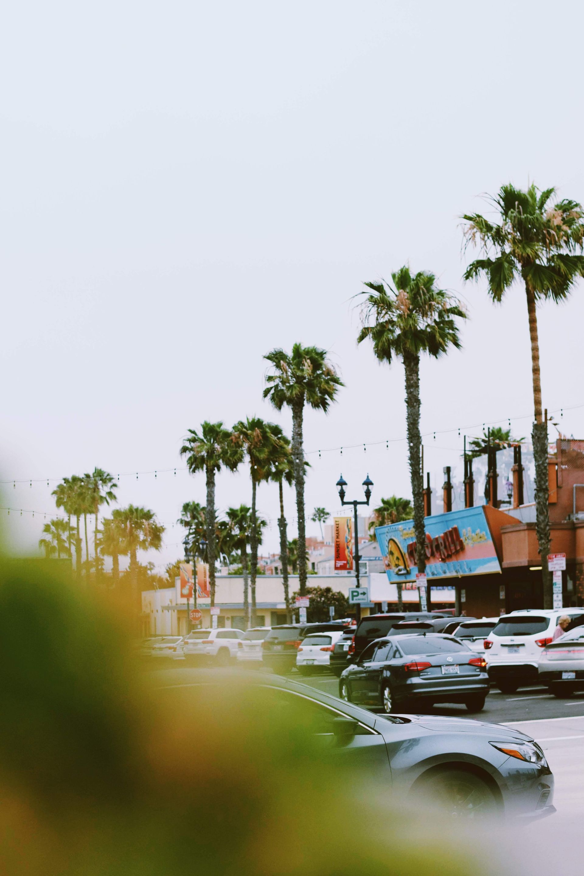 Palm-lined street with parked cars and colorful storefronts on a cloudy day
